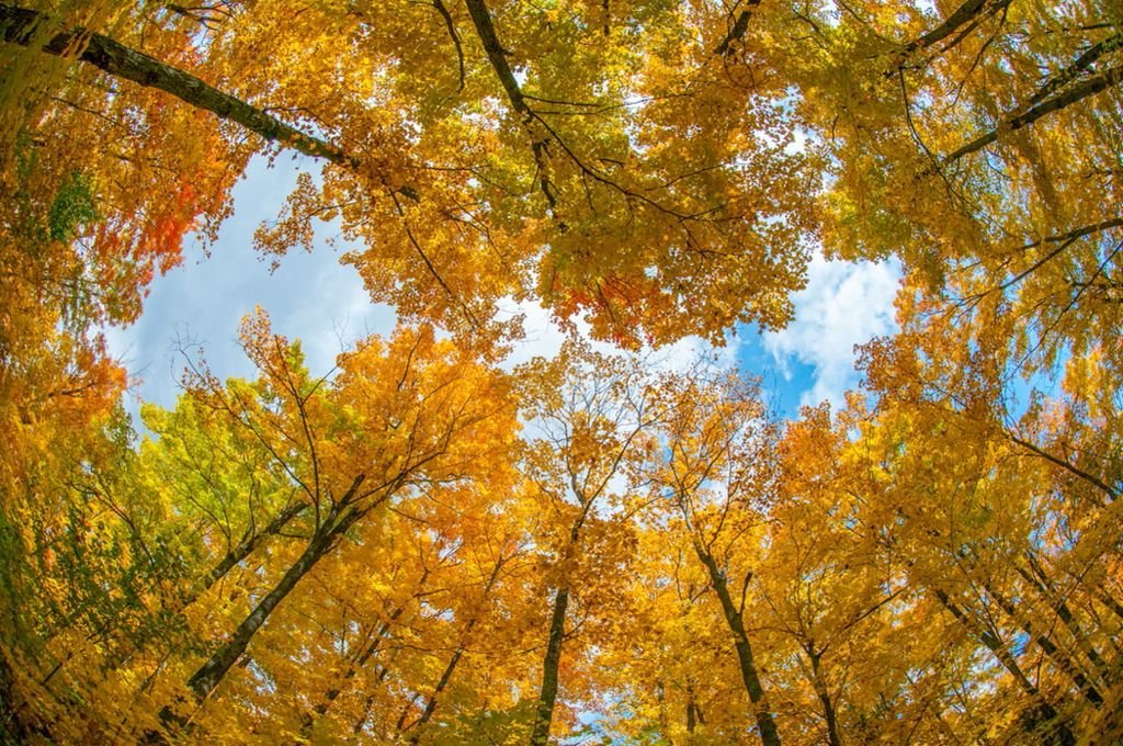 Kilè 4 sezon yo kòmanse an Ayiti?