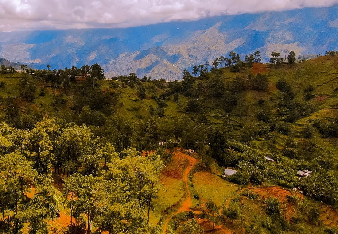Jounen Travay an Ayiti: Agrikilti kòm yon levye ekonomik