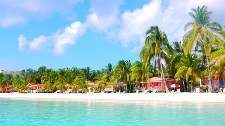 Haïti : Gelée Haïti : Gelée